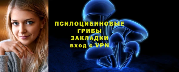 соль курить ск Алзамай