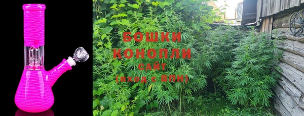 PSILOCYBIN Алексин