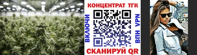 мега онион  закладка  Шуя  ТГК концентрат 