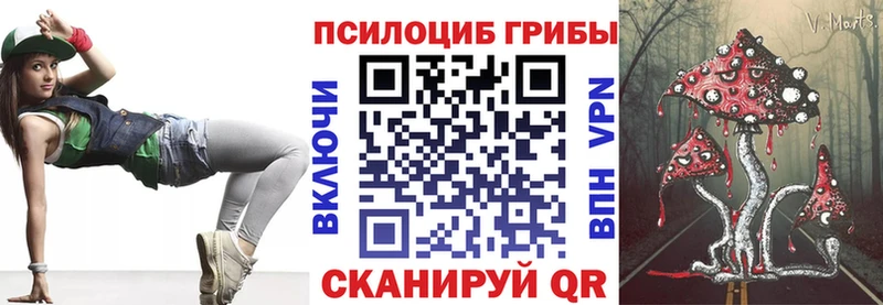 Псилоцибиновые грибы Cubensis Шуя