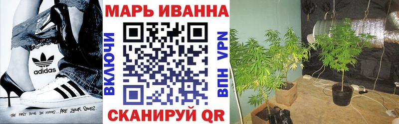 Каннабис MAZAR Шуя